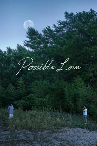 Possible Love movie poster